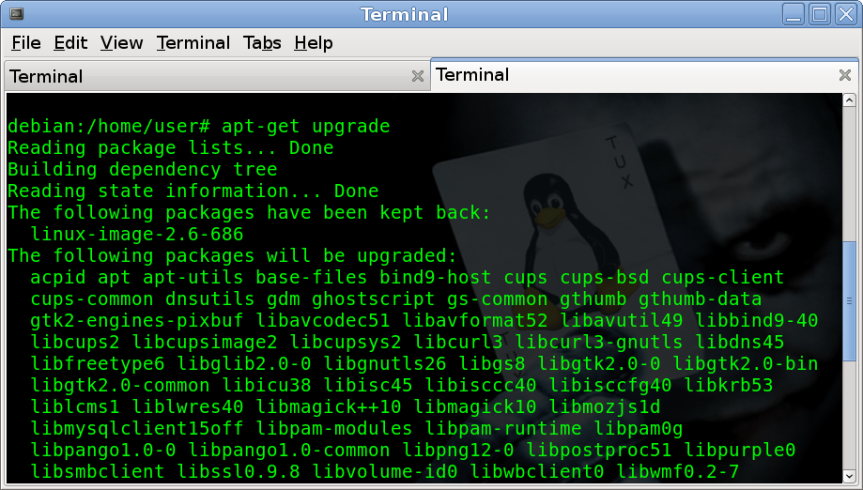 Screenshot-Terminal-1